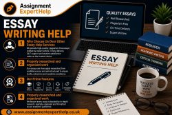 Affordable Essay Writing Help for Students
