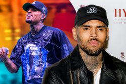 Chris Brown HD Celebrity Portrait