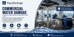 Commercial Water Damage Experts | AquaVantage Restore