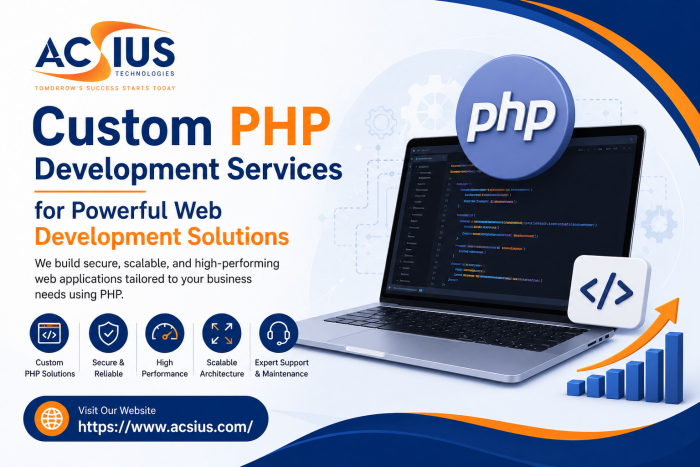 custom php development services for success-17785838634pcl8