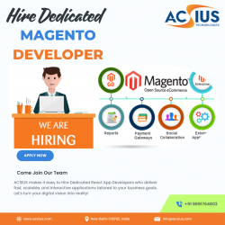 Hire Dedicated Magento Developer India – eCommerce Experts