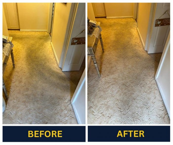 Best carpet cleaning company in Adelaide
