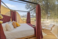 Sleep Beneath the Stars at Sky Dome Hotels