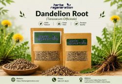 Dandelion Root Tea: Benefits, Uses & Wellness Guide