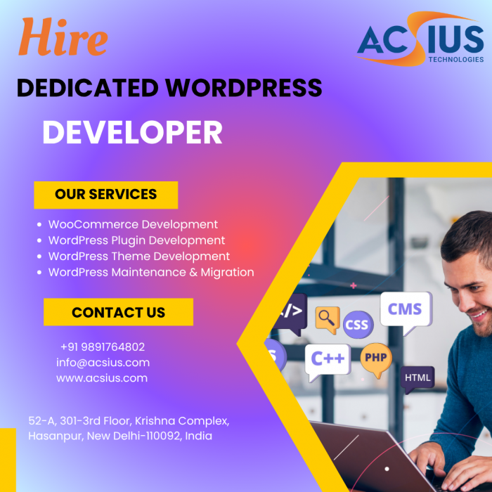 hire dedicated wordpress developer-1778573586c4l8p