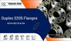 Duplex Flanges | High Strength Industrial Flanges