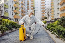 Trusted Pest Control Solutions