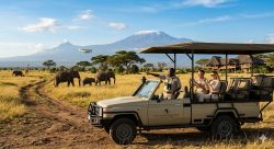 Solio Lodge Kenya – Luxury Safari and Rhino Paradise