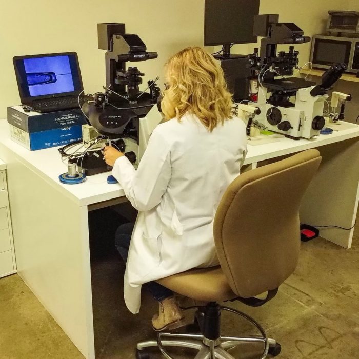 Professional Learning Pathways for Embryologist Education by World Embryology Skills and Training