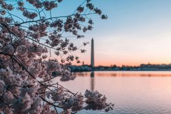 Spring Break Destinations for Families
