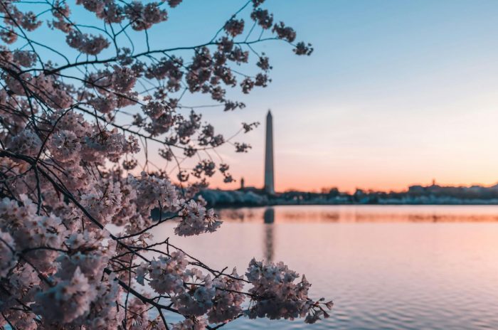 Spring Break Destinations for Families