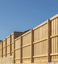 Reliable Structural Timber Sydney for Strong Construction