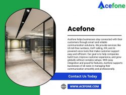 Reach the US Market Instantly — Buy US Toll Free Number from Acefone | Acefone