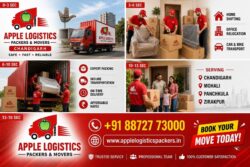 Professional packers and movers chandigarh