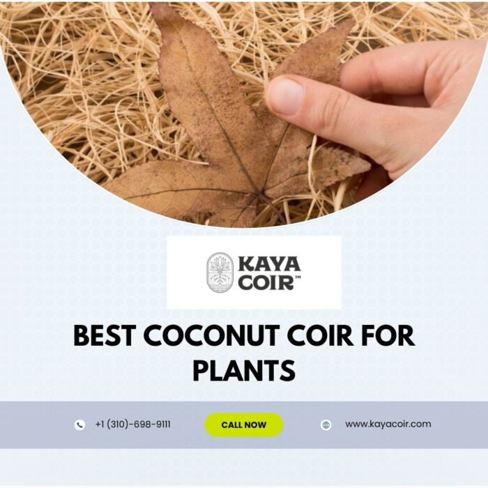 Best Coconut Coir For Plants