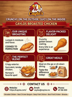Best Chicken Burgers at Caylos – Premium American Fast Food