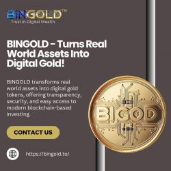 Real World Assets Turn Into Digital Gold Now | BINGOLD
