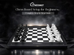 Chess Board Setup for Beginners: Complete Step-by-Step Guide