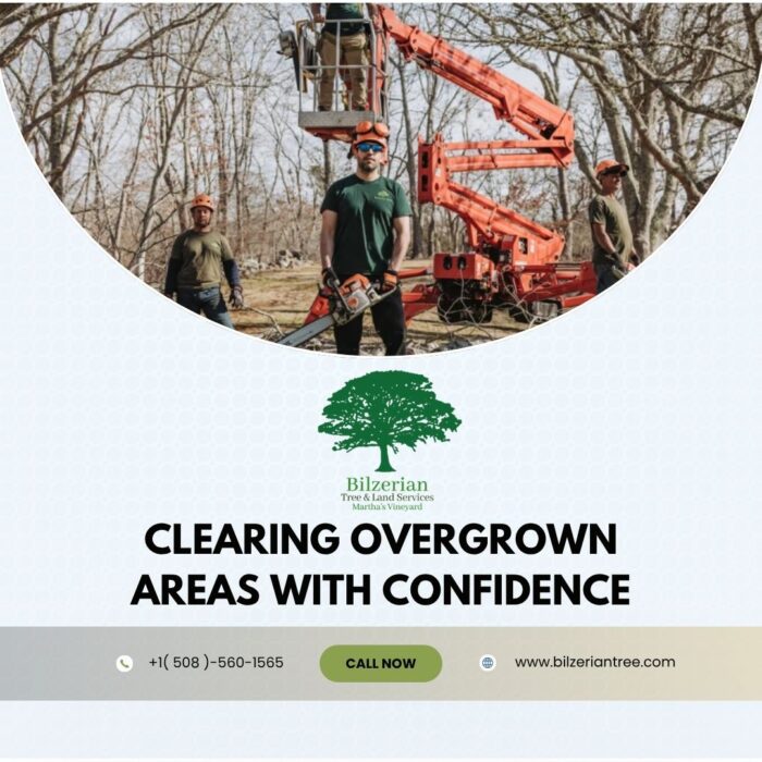 Clearing Overgrown Areas With Confidence