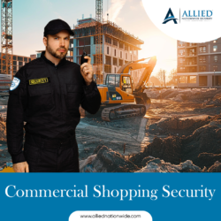 Commercial Shopping Security