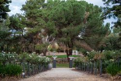 Experience the Perfect Stay in the Barossa Wine Region with Premium Accommodation