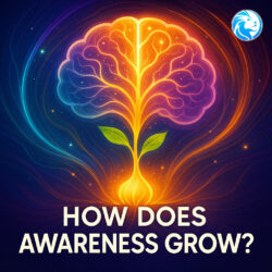 How Does Awareness Grow? Insights for Personal Growth