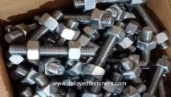 SS Fasteners Manufacturers in India for Industrial Needs