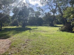 About Land Capability Assessments: Why Commercial Land Capability Assessments Matter