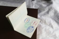 LOR for USA Universities: Format, Samples & Writing Guide | IELTS IDP India