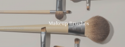 Eco Friendly Makeup Brushes Singapore