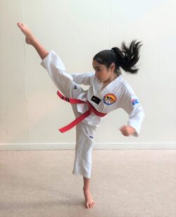 Pinnacle Martial Arts | MARTIAL ARTS Marrickville Training