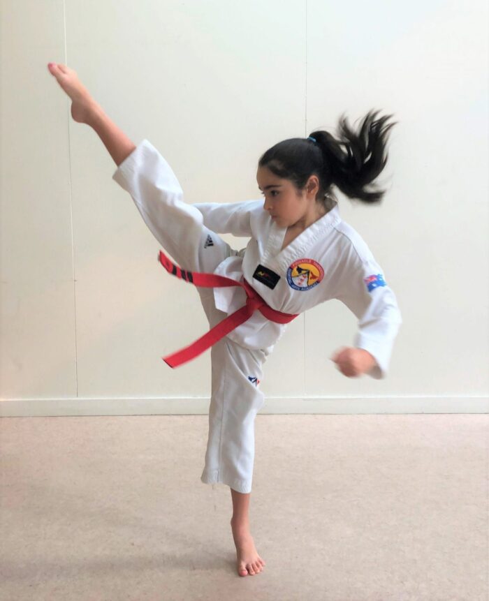 Pinnacle Martial Arts | MARTIAL ARTS Marrickville Training