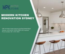 Modern Kitchen Renovation Sydney