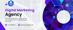 Innovative Digital Marketing Company in Jodhpur for Measurable Growth