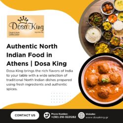 Authentic North Indian Food in Athens | Dosa King