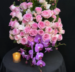 Orchid Elegance