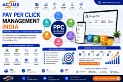 Professional Pay Per Click Management Services India
