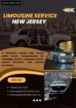 Premium Limousine Service New Jersey for Any Occasion