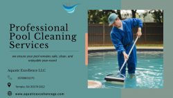 Professional Pool Cleaning Services