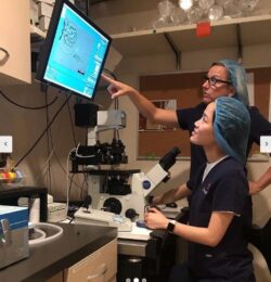World Embryology Skills and Training: Clinical Embryology Courses for Hands-On Learning and Tech ...