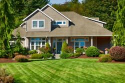 Proyards Landscape & Maintenance: Professional Lawn Care in Utah for Healthy Landscapes