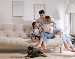 BoxDrop Utah County: Furniture Stores for Home Furnishing Solutions