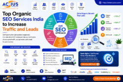 Best SEO Services in India for Business Growth & Traffic