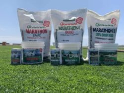 Best Varieties of SOD for Sale — SOD