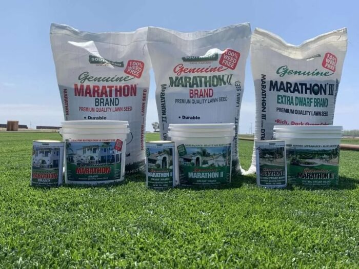 Best Varieties of SOD for Sale — SOD