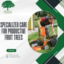Specialized Care For Productive Fruit Trees