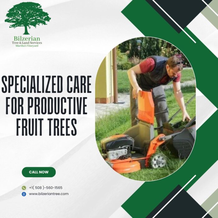 Specialized Care For Productive Fruit Trees