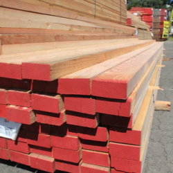 Premium Timber Suppliers for Quality Building Materials