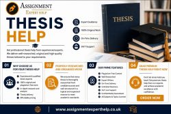 Expert Statistics Thesis Help for Accurate Research Outcomes