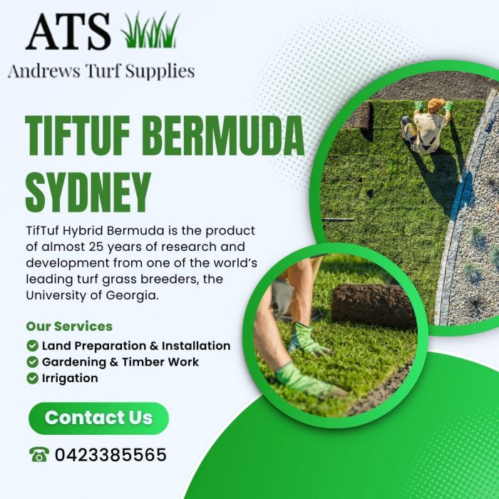 tiftuf bermuda sydney